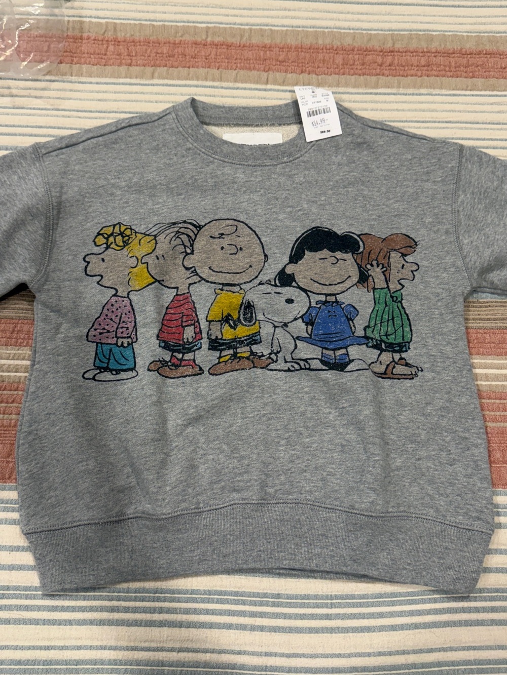 J. Crew Kids Grey Peanuts Character Sweatshirt - Classic Cartoon Pullover